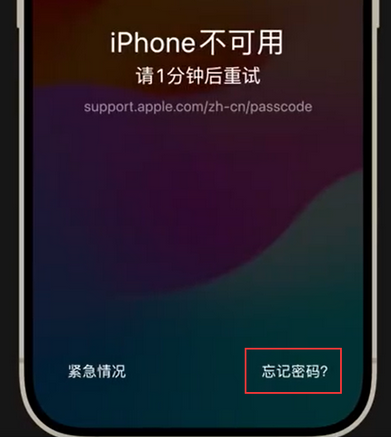 华阴苹果手机密码维修分享iPhone忘记了刚设置的密码 